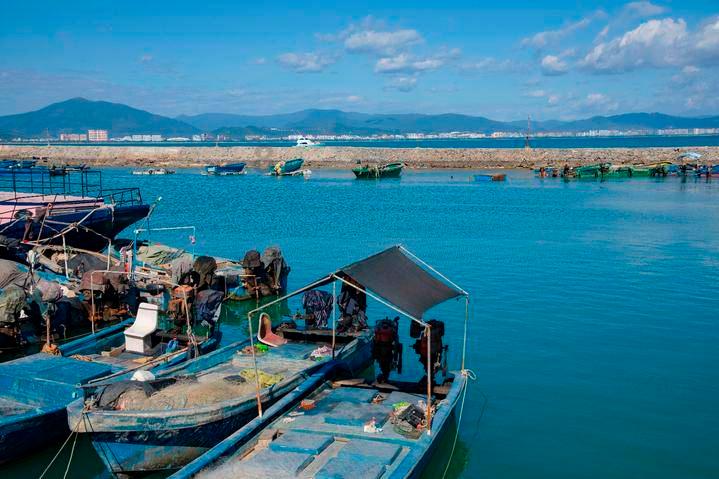 企院校共建,深圳湾又添重量级研发基地